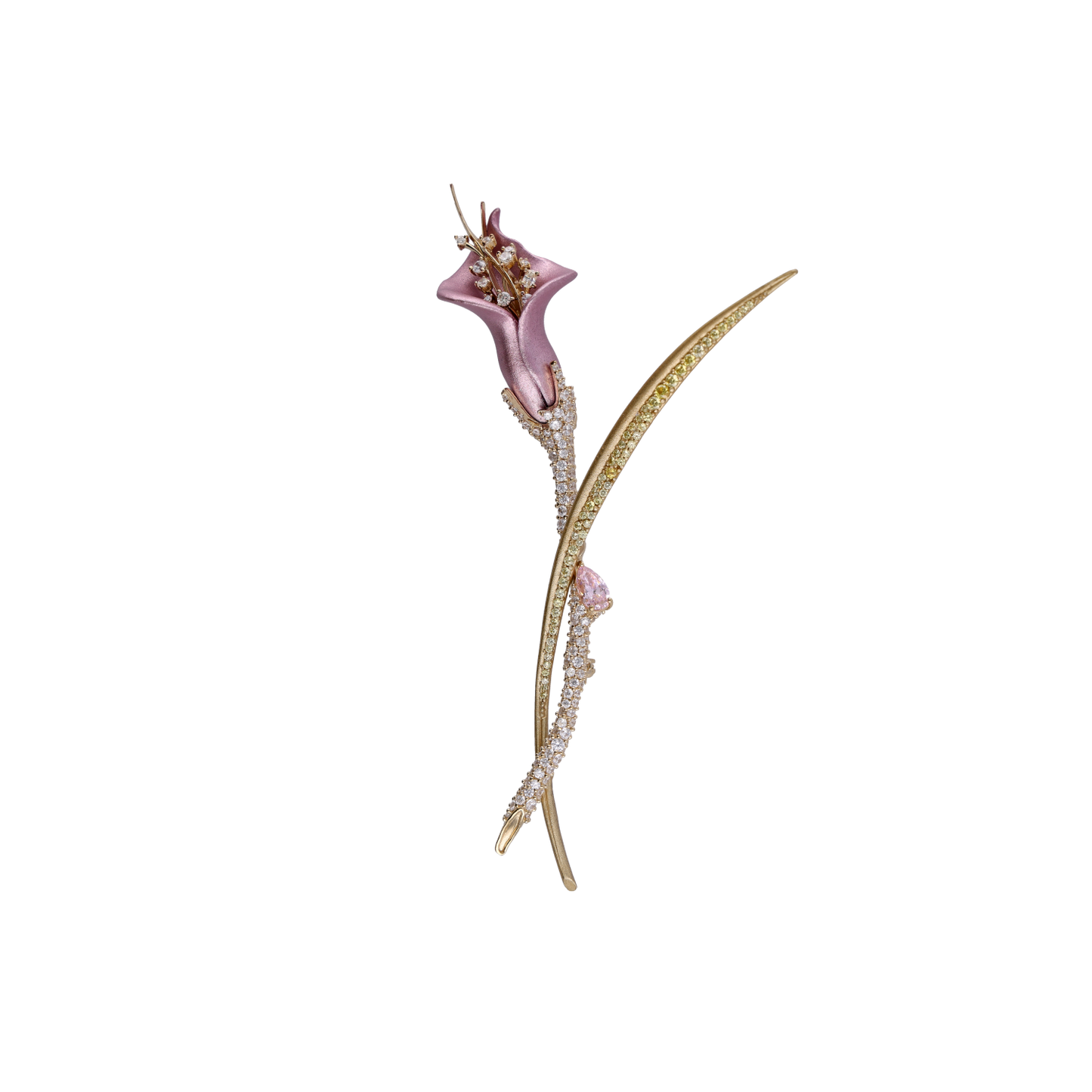 Calla Lilly