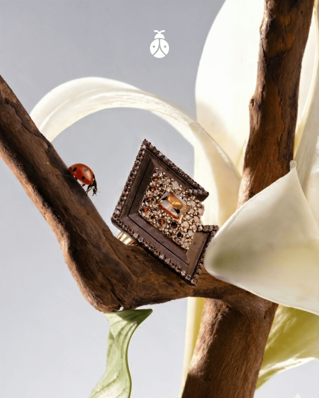 Instagram post from worldofdore. This post is in position 0.